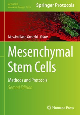 Mesenchymal Stem Cells