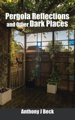 Pergola Reflections and Other Dark Places