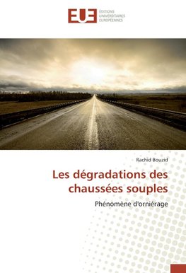 Les dégradations des chaussées souples