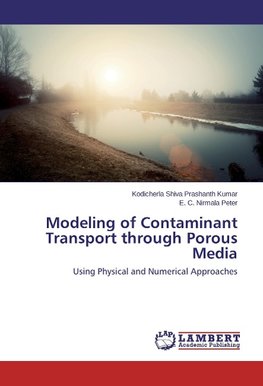 Modeling of Contaminant Transport through Porous Media