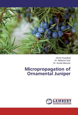 Micropropagation of Ornamental Juniper