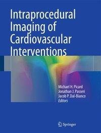 Intraprocedural Imaging of Cardiovascular Interventions