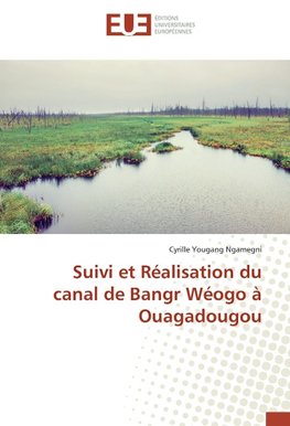 Suivi et Réalisation du canal de Bangr Wéogo à Ouagadougou