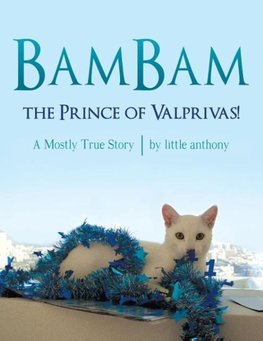 BamBam, the Prince of Valprivas!