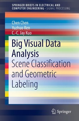 Big Visual Data Analysis