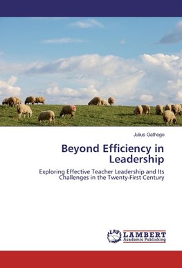 Beyond Efficiency in Leadership