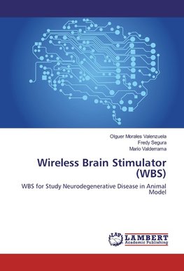 Wireless Brain Stimulator (WBS)