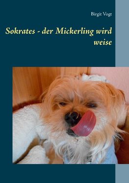 Sokrates - der Mickerling wird weise