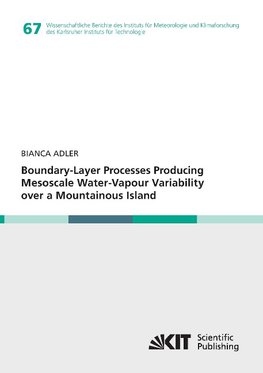 Boundary-Layer Processes Producing Mesoscale Water-Vapour Variability over a Mountainous Island