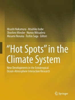 "Hot Spots" in the Climate System