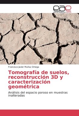 Tomografía de suelos, reconstrucción 3D y caracterización geométrica