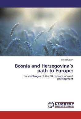 Bosnia and Herzegovina's path to Europe: