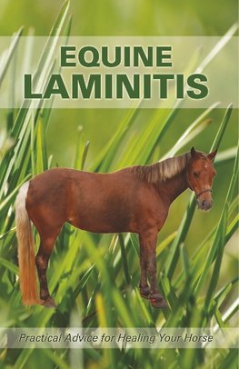 Equine Laminitis