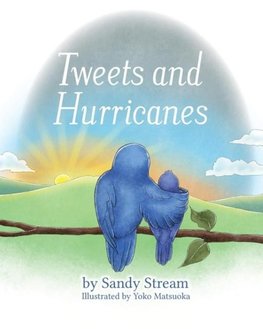 Tweets and Hurricanes