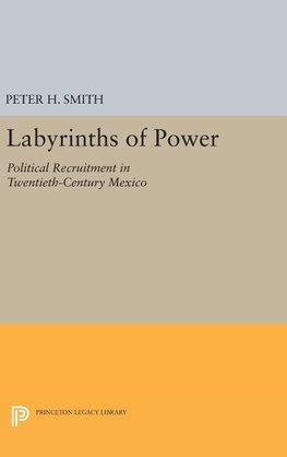 Labyrinths of Power