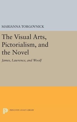 The Visual Arts, Pictorialism, and the Novel