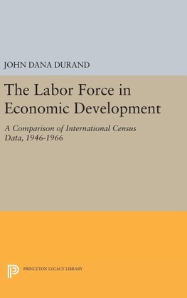 The Labor Force in Economic Development