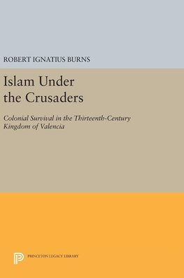 Islam Under the Crusaders