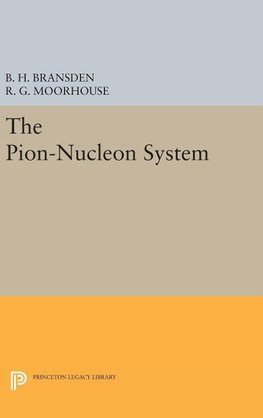 The Pion-Nucleon System