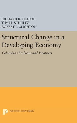 Structural Change in a Developing Economy