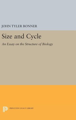 Size and Cycle