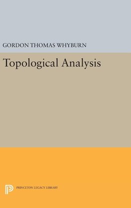 Topological Analysis