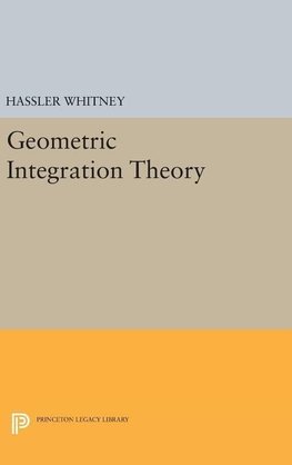 Geometric Integration Theory