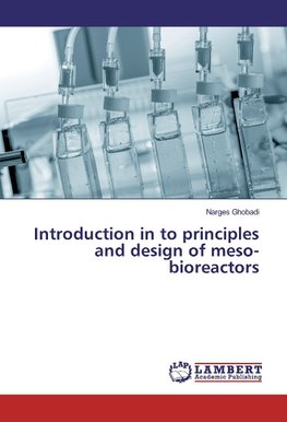 Introduction in to principles and design of meso-bioreactors