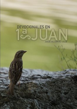 Devocionales en 1ª Juan