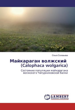 Majkaragan volzhskij (Calophaca wolgarica)