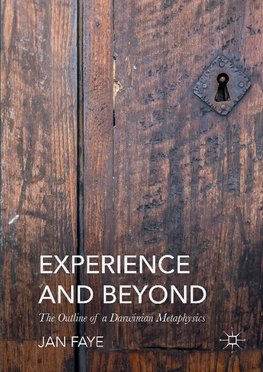 Experience and Beyond