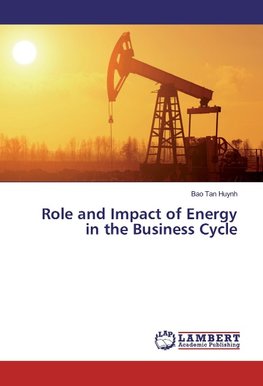 Role and Impact of Energy in the Business Cycle