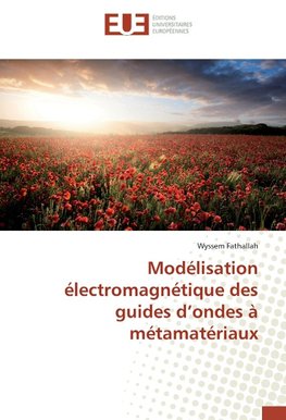 Modélisation électromagnétique des guides d'ondes à métamatériaux