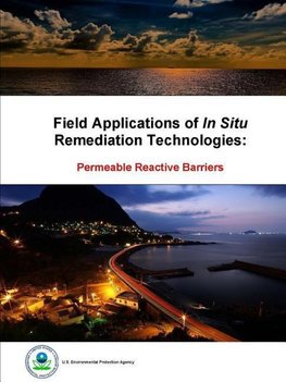 Field Applications of In Situ Remediation Technologies