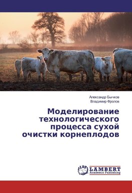 Modelirovanie tehnologicheskogo processa suhoj ochistki korneplodov