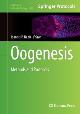 Oogenesis