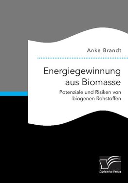 Energiegewinnung aus Biomasse. Potenziale und Risiken von biogenen Rohstoffen