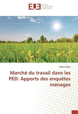 Marché du travail dans les PED: Apports des enquêtes ménages