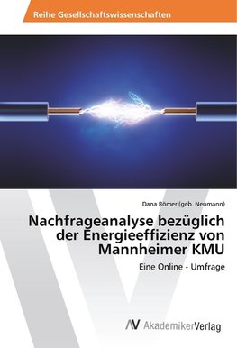 Nachfrageanalyse bezüglich der Energieeffizienz von Mannheimer KMU