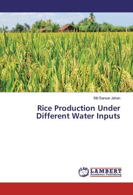 Rice Production Under Different Water Inputs