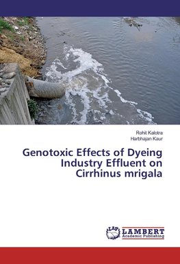 Genotoxic Effects of Dyeing Industry Effluent on Cirrhinus mrigala