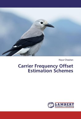 Carrier Frequency Offset Estimation Schemes