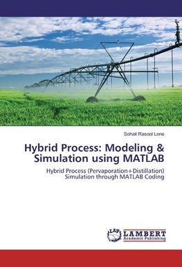 Hybrid Process: Modeling & Simulation using MATLAB