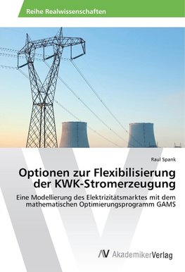 Optionen zur Flexibilisierung der KWK-Stromerzeugung