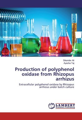 Production of polyphenol oxidase from Rhizopus arrhizus