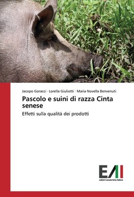 Pascolo e suini di razza Cinta senese