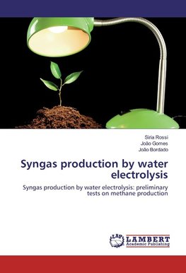 Syngas production by water electrolysis