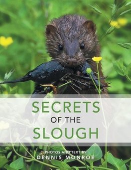 Secrets of the Slough