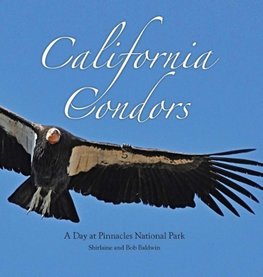 California Condors