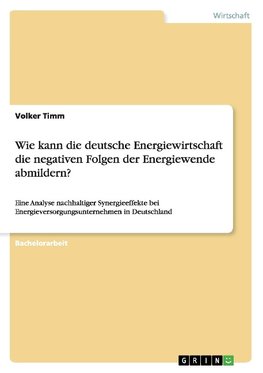 Wie kann die deutsche Energiewirtschaft die negativen Folgen der Energiewende abmildern?